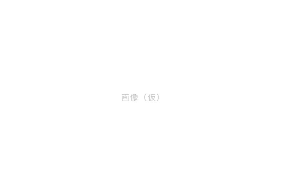 仮画像